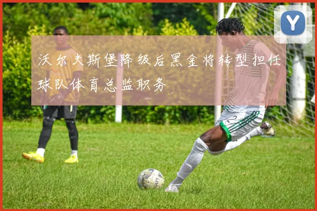沃尔夫斯堡降级后黑金将转型担任球队体育总监职务