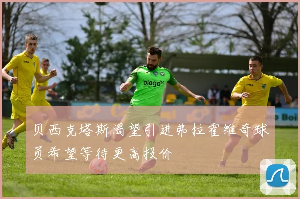 贝西克塔斯渴望引进弗拉霍维奇球员希望等待更高报价